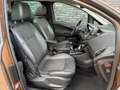 Ford B-Max 1.0 EcoBoost Titanium NAP|Cruise|Pano|Winter-Pack| Brun - thumbnail 20