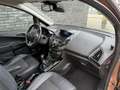 Ford B-Max 1.0 EcoBoost Titanium NAP|Cruise|Pano|Winter-Pack| Brun - thumbnail 19