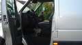 Renault Master L4H3  3,5T ! EXTRA-LANG!TÜV-NEU! Argent - thumbnail 12
