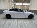 Alfa Romeo Giulia Giulia 2.2 Turbodiesel 180 CV Super Blanc - thumbnail 5