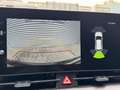 Kia Sportage 1.6 T-GDi MHEV DCT7 DynamicPlusLine | Demo | Camer Grigio - thumbnail 15