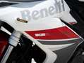 Benelli BN 302 R Bianco - thumbnail 7