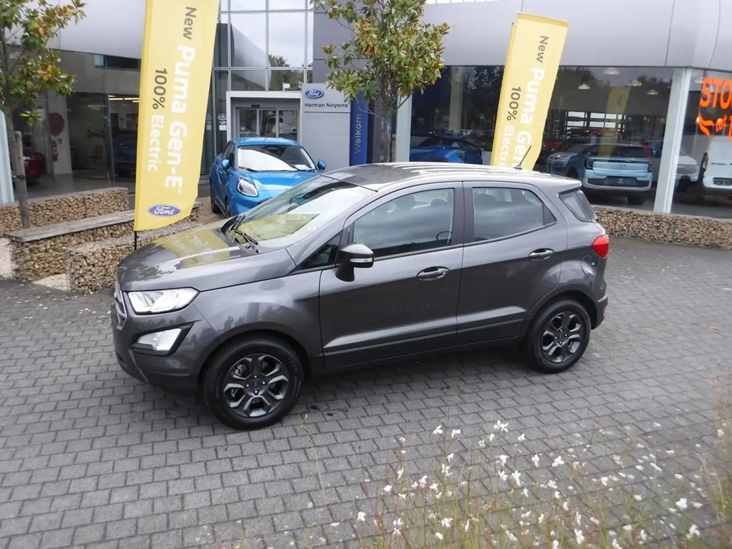Ford EcoSport EcoBoost Connected Gris - 1