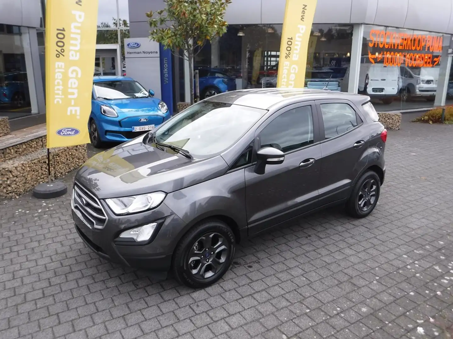 Ford EcoSport EcoBoost Connected Gris - 2