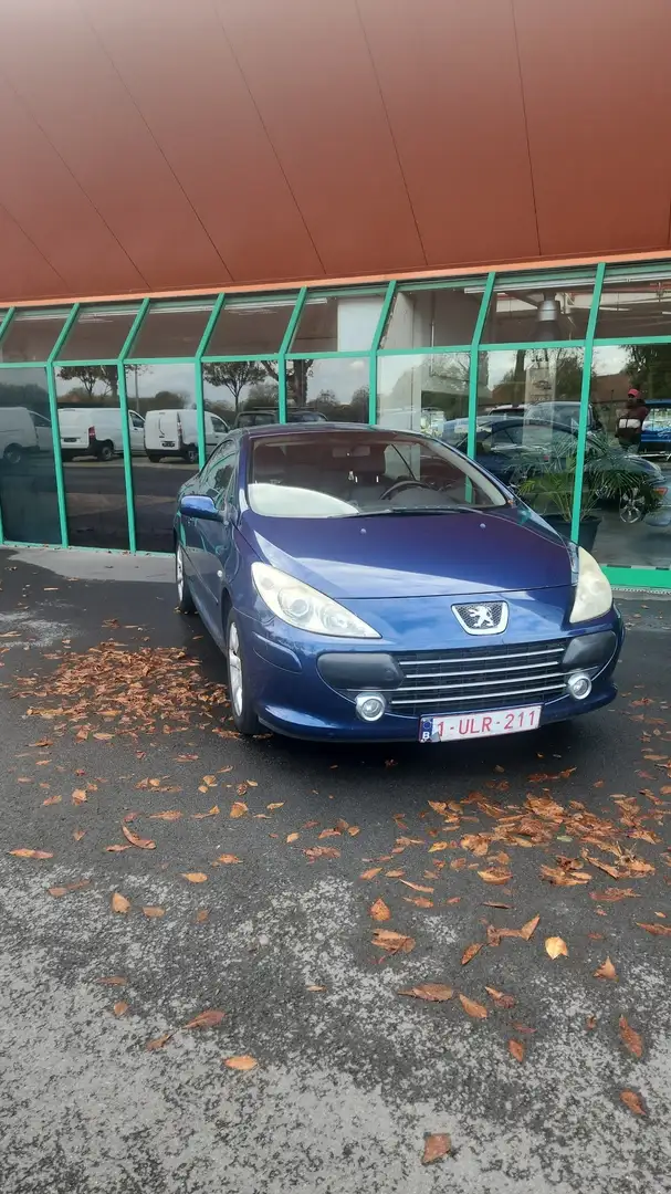 Peugeot 307 1.6i 16v Oxygo - 1
