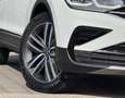 Volkswagen Tiguan Elegance 1.5 TSI EVO 150 DSG NAV, IQ, HEAD, EAS... Weiß - thumbnail 33