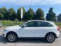 Audi Q5 2.0 TDI 143 CV quattro Bianco - thumbnail 7