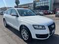 Audi Q5 2.0 TDI 143 CV quattro Bianco - thumbnail 2
