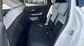 Citroen C3 BEV 113 MAX 5P Blanco - thumbnail 13
