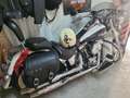 Harley-Davidson Softail Custom Alb - thumbnail 13