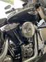 Harley-Davidson Softail Custom Alb - thumbnail 12