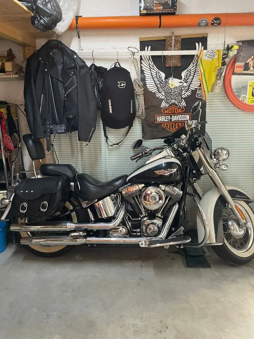 Harley-Davidson Softail Custom Alb - 2