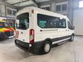 Ford Transit Kombi 350 L3 Trend *E.BEHINDERTEN RAMPE* Blanco - thumbnail 6