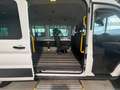 Ford Transit Kombi 350 L3 Trend *E.BEHINDERTEN RAMPE* Blanco - thumbnail 12
