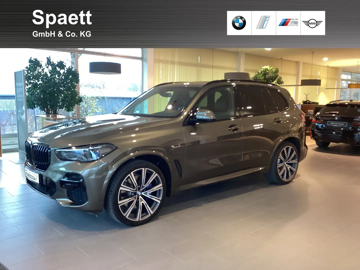 BMW X5 xDrive45e M Sportpaket Head-Up HK HiFi DAB Verde - 1