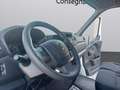 Nissan Interstar 35 2.3 dCi 135CV(PM-TM-L2H2)ACENTA-SENSORI-CRUISE- Blanc - thumbnail 10