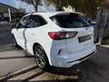 Ford Kuga 1.5 ECOBLUE 120CH ST-LINE POWERSHIFT Blanco - thumbnail 13
