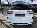 Ford Kuga 1.5 ECOBLUE 120CH ST-LINE POWERSHIFT Blanco - thumbnail 14