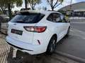 Ford Kuga 1.5 ECOBLUE 120CH ST-LINE POWERSHIFT Blanco - thumbnail 15