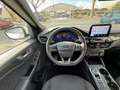 Ford Kuga 1.5 ECOBLUE 120CH ST-LINE POWERSHIFT Blanco - thumbnail 9