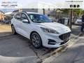 Ford Kuga 1.5 ECOBLUE 120CH ST-LINE POWERSHIFT Blanco - thumbnail 3