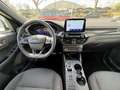 Ford Kuga 1.5 ECOBLUE 120CH ST-LINE POWERSHIFT Blanco - thumbnail 10