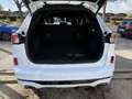 Ford Kuga 1.5 ECOBLUE 120CH ST-LINE POWERSHIFT Blanco - thumbnail 16