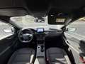 Ford Kuga 1.5 ECOBLUE 120CH ST-LINE POWERSHIFT Blanco - thumbnail 8