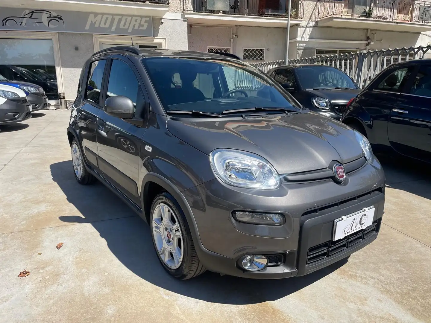 Fiat Panda Panda 1.0 FireFly S&S Hybrid Gris - 1