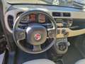 Fiat Panda Panda 0.9 t.air t. natural power Easy 80cv E6 Nero - thumbnail 10