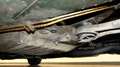 Mercedes-Benz 280 SE 5.0 Kraftpaket mit V8 Kompressor Vert - thumbnail 40