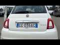 Fiat 500 1.0 FireFly Hybrid 70cv Sport Bianco - thumbnail 5