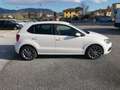 Volkswagen Polo Polo 1.4 TDI 90 CV DSG 5p. Highline BlueMotion Te Bianco - thumbnail 3