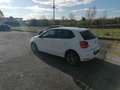 Volkswagen Polo Polo 1.4 TDI 90 CV DSG 5p. Highline BlueMotion Te Bianco - thumbnail 7