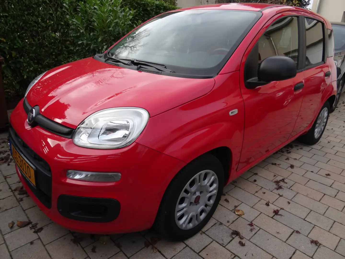 Fiat New Panda 1.3 MTJ Rosso - 1