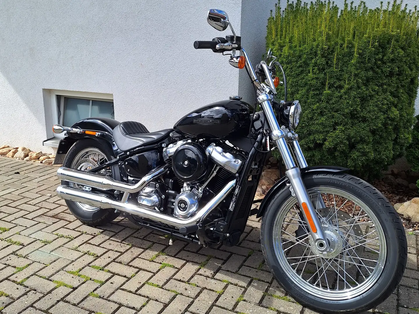 Harley-Davidson Softail Standart Černá - 1