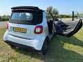 smart forTwo CABRIO ED Smart Fortwo Cabrio Electric Eens word h Wit - thumbnail 19