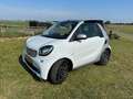 smart forTwo CABRIO ED Smart Fortwo Cabrio Electric Eens word h Wit - thumbnail 16