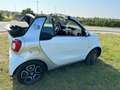 smart forTwo CABRIO ED Smart Fortwo Cabrio Electric Eens word h Wit - thumbnail 22
