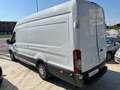 Ford Transit 350 2.2 tdci L3 H2 MOTORE RIFATTO CON 50000 KM Bianco - thumbnail 5