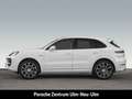 Porsche Cayenne E-Hybrid InnoDrive Head-Up Sitzbelüftung Blanc - thumbnail 2