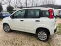 Fiat Panda Panda III 2012 0.9 t.air t. natural power Lounge Blanc - thumbnail 4