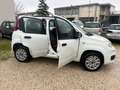 Fiat Panda Panda III 2012 0.9 t.air t. natural power Lounge Blanc - thumbnail 15