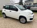 Fiat Panda Panda III 2012 0.9 t.air t. natural power Lounge Blanc - thumbnail 1