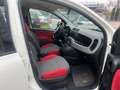 Fiat Panda Panda III 2012 0.9 t.air t. natural power Lounge Blanc - thumbnail 12