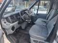 Ford Transit Transit 9 Sitzer TDCi 300 K TDCi VA S White - thumbnail 3