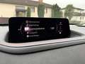 Mazda CX-30 2026 e-Skyactive G140 Nagisa Aut. Grau - thumbnail 10