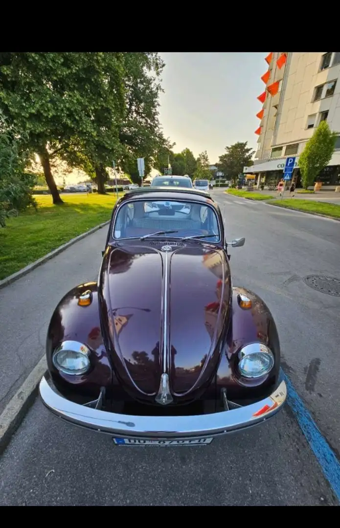 Volkswagen Käfer - 1