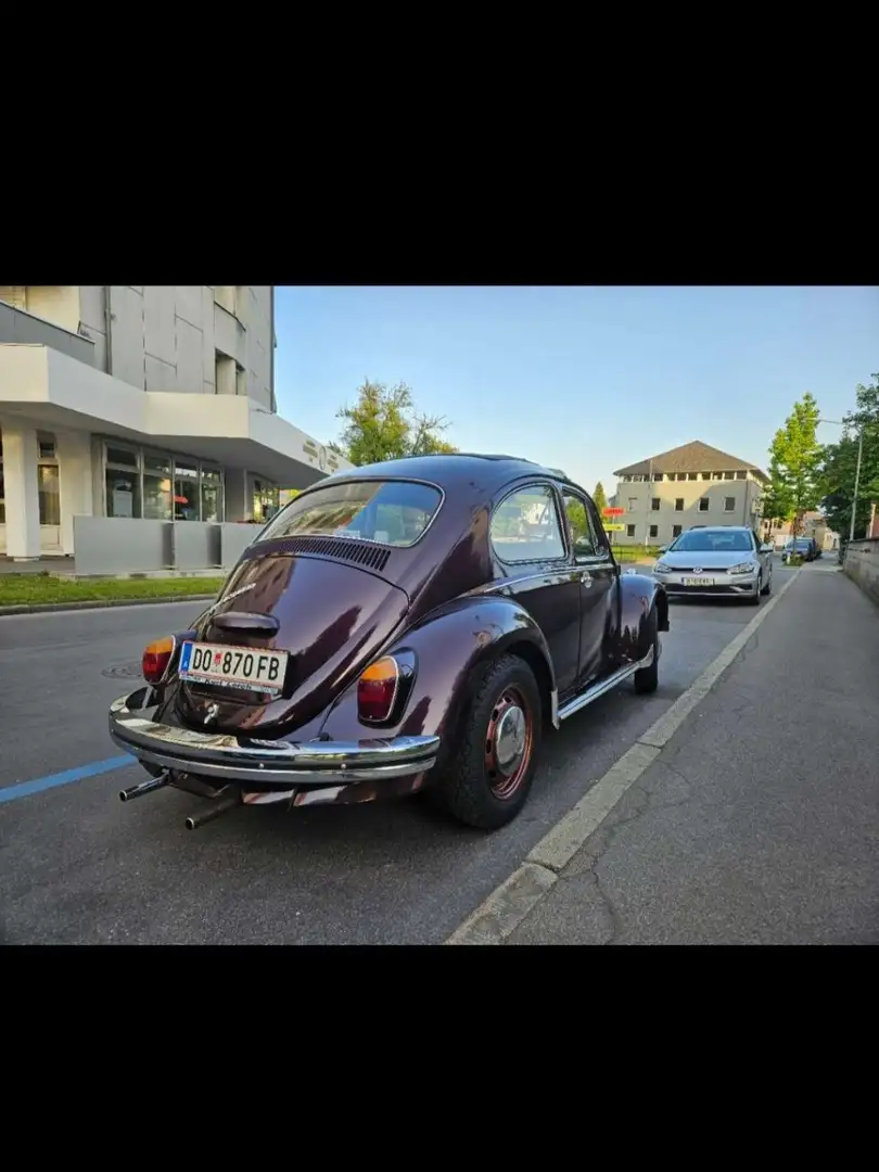 Volkswagen Käfer - 2