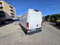 Iveco Daily Daily Furgón 35S16 Blanco - thumbnail 11